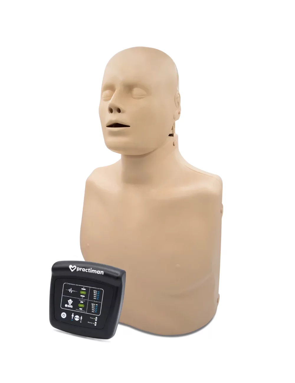 Torso RCP para Formación RCP Plus adulto — vista principal del producto